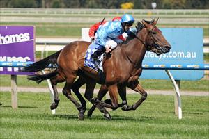 NZ bred makes her presence felt at Ballarat